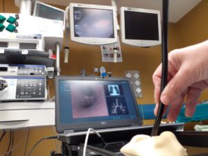 profesionales sanitarios utilizando simulador de broncoscopia